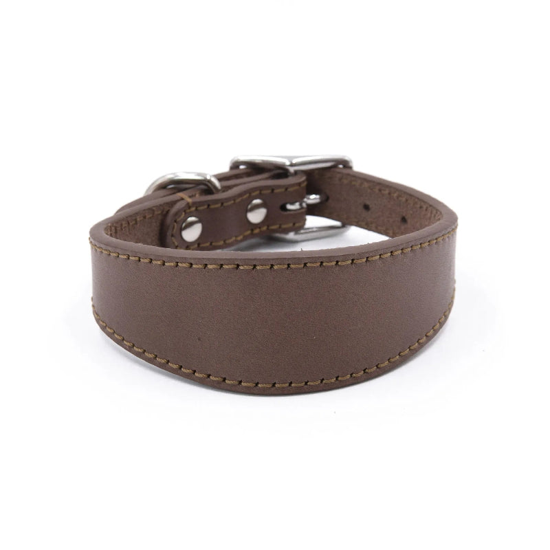 Brown leather dog collar with metal buckle on a white background