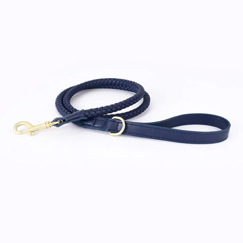 Navy blue braided dog leash with gold clasp on a white background