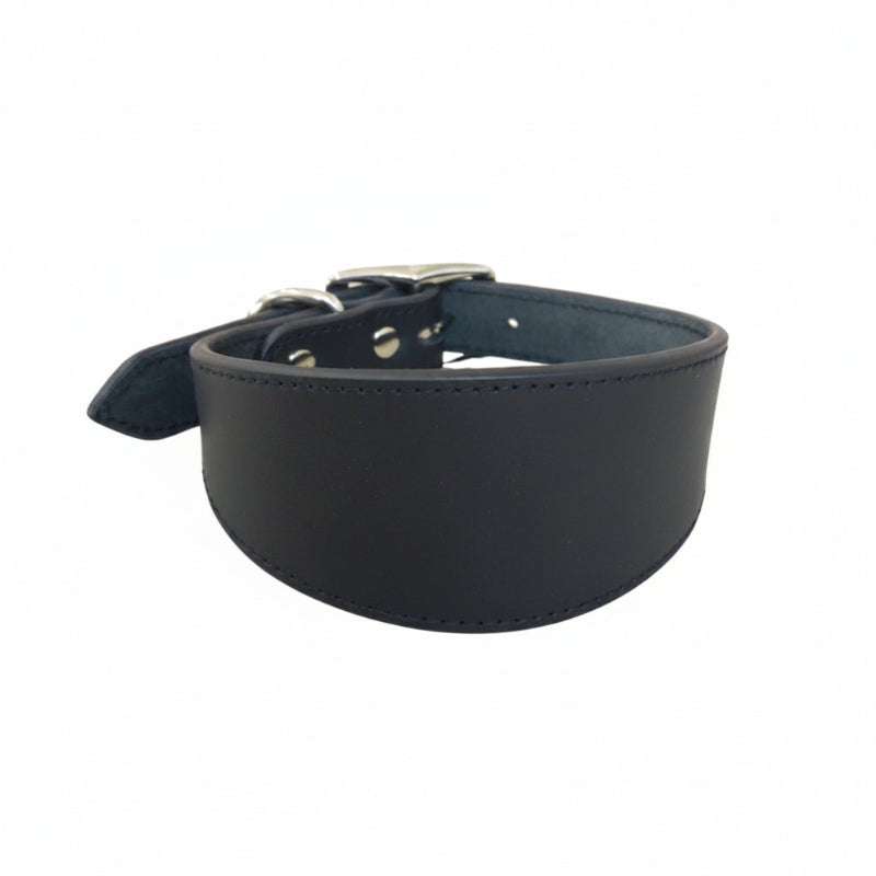 Black leather collar on a white background