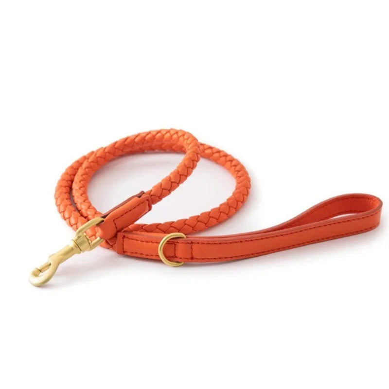 Orange braided dog leash with gold hardware on a white background