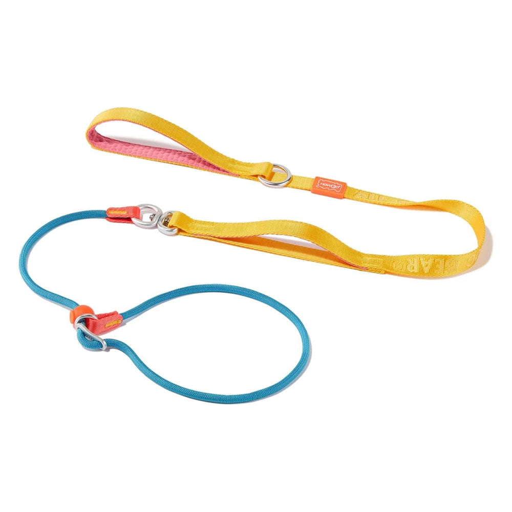 Heavy Duty Slip Leash and Collar
