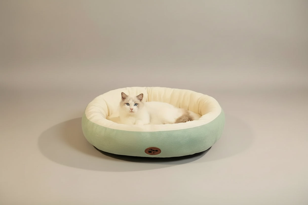 Cat lying on a light green pet bed with 'KEMORELA' branding in a cozy room.