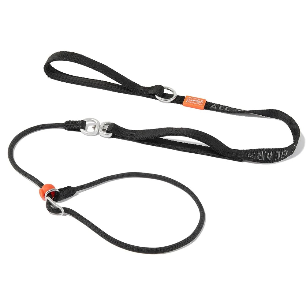 Heavy Duty Slip Leash and Collar