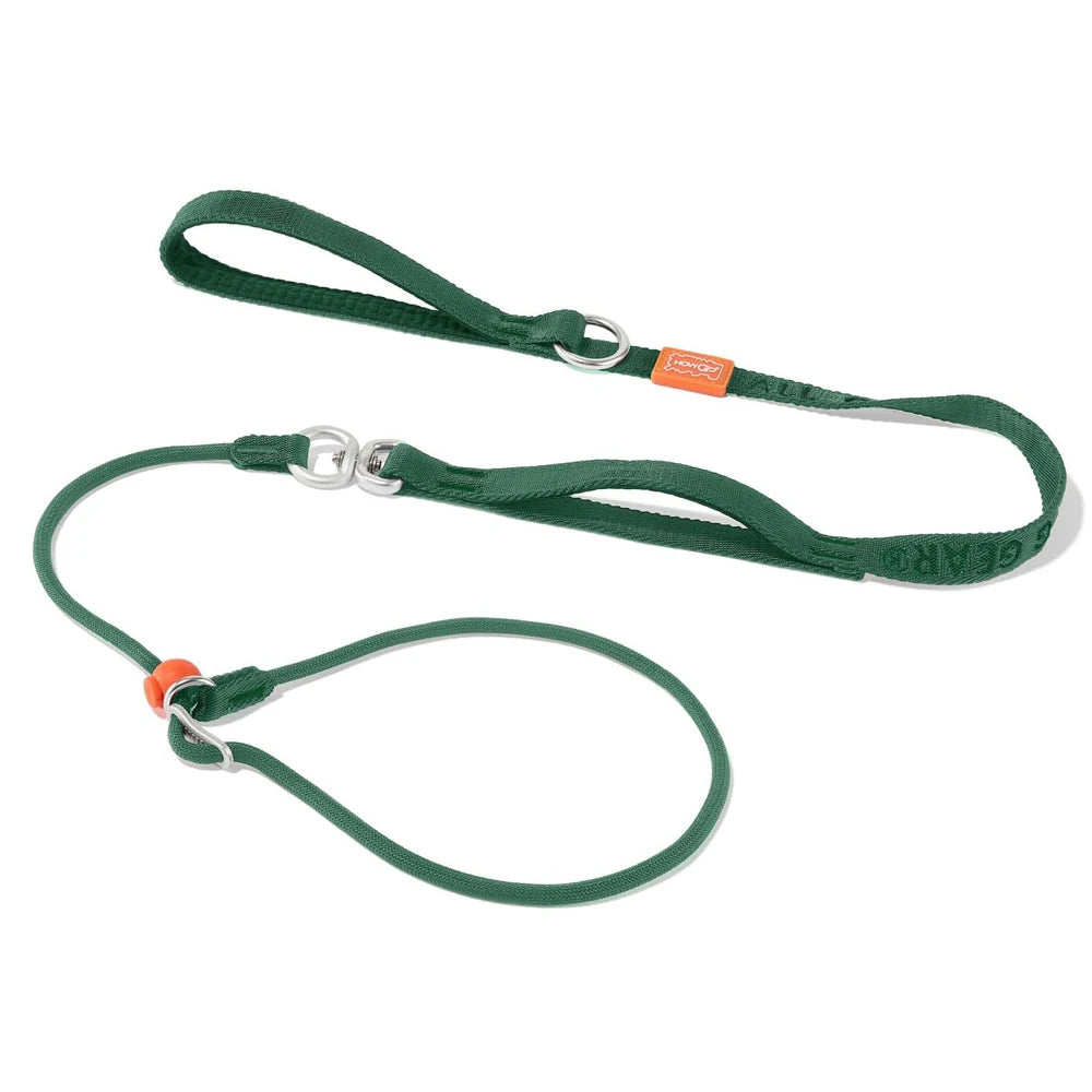 Heavy Duty Slip Leash and Collar