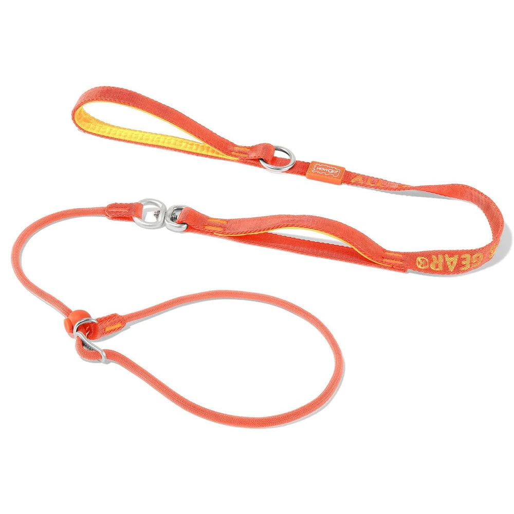 Heavy Duty Slip Leash and Collar
