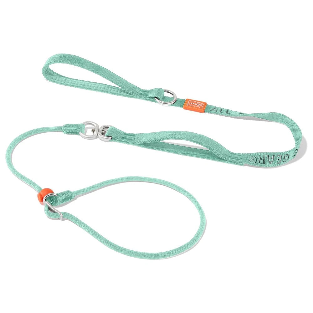 Heavy Duty Slip Leash and Collar