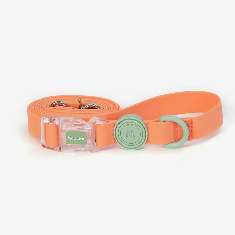 Candy-Colored Waterproof Adjustable PVC Dog Collar and leash
