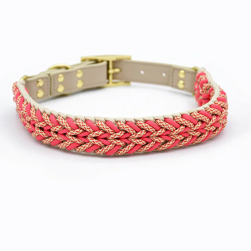 Neon pink and gold braided dog collar on a white background