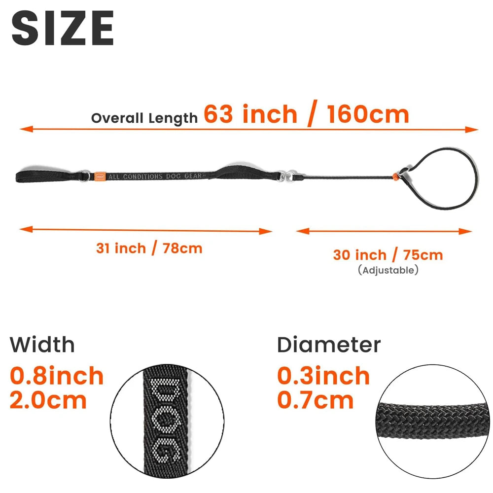 Heavy Duty Slip Leash and Collar