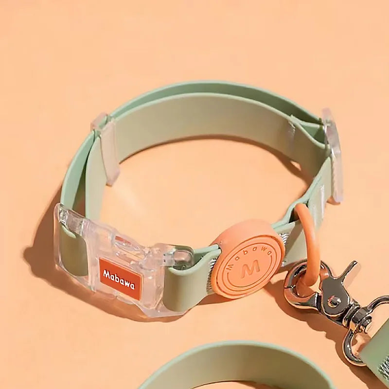 Candy-Colored Waterproof Adjustable PVC Dog Collar and leash