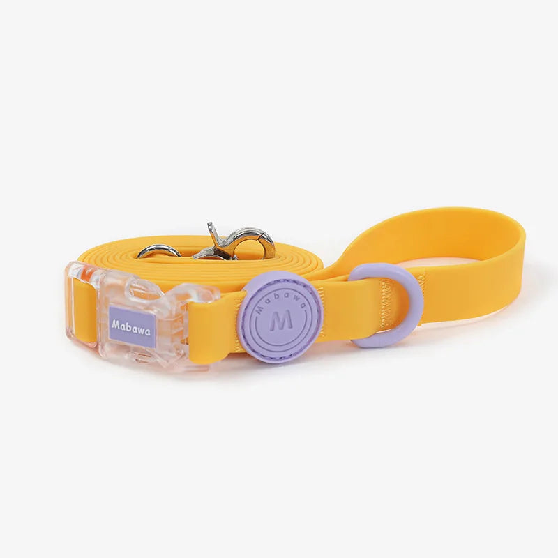 Candy-Colored Waterproof Adjustable PVC Dog Collar and leash