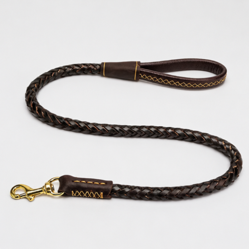 Brown braided dog leash with gold hardware on a white background