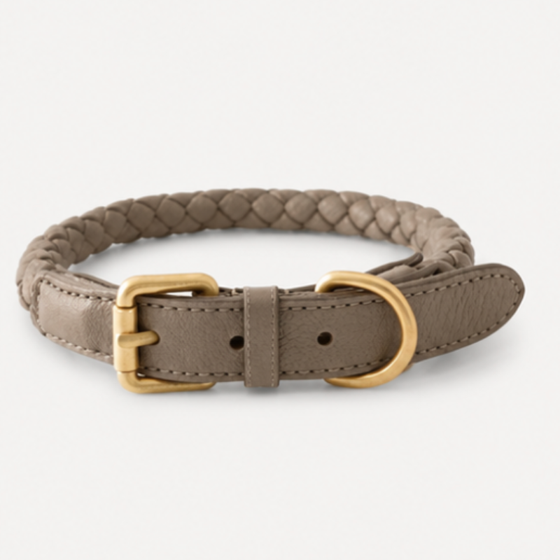 Brown braided dog collar with gold buckle on a white background