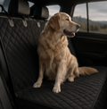 Dog sitting on a car seat cover in a vehicle with a scenic background