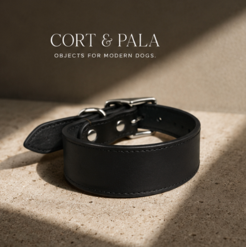 THE LEATHER STATEMENT COLLAR
