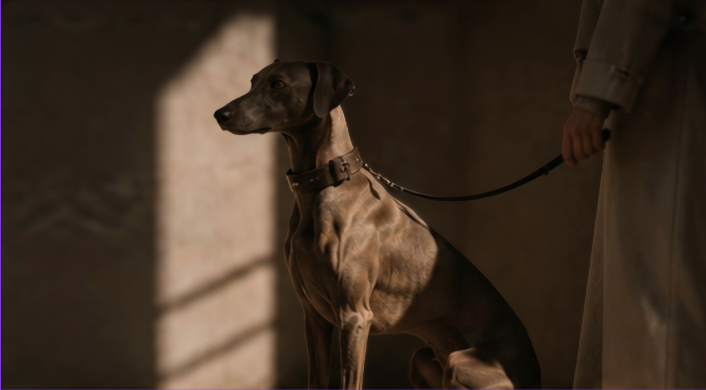 Dog on a leash standing next to a person in a dimly lit room.