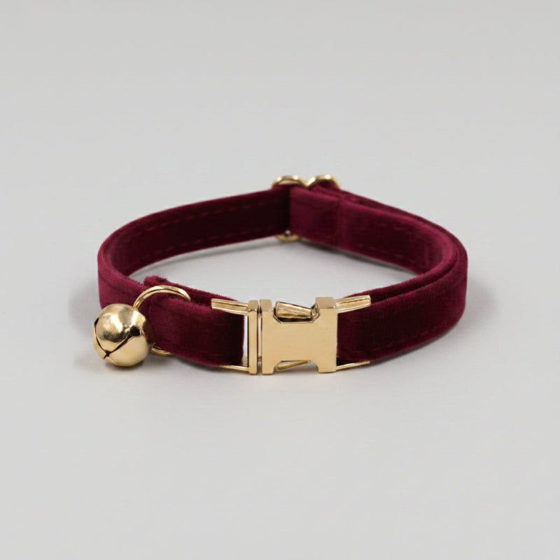 Burgundy velvet dog collar with gold hardware on a white background