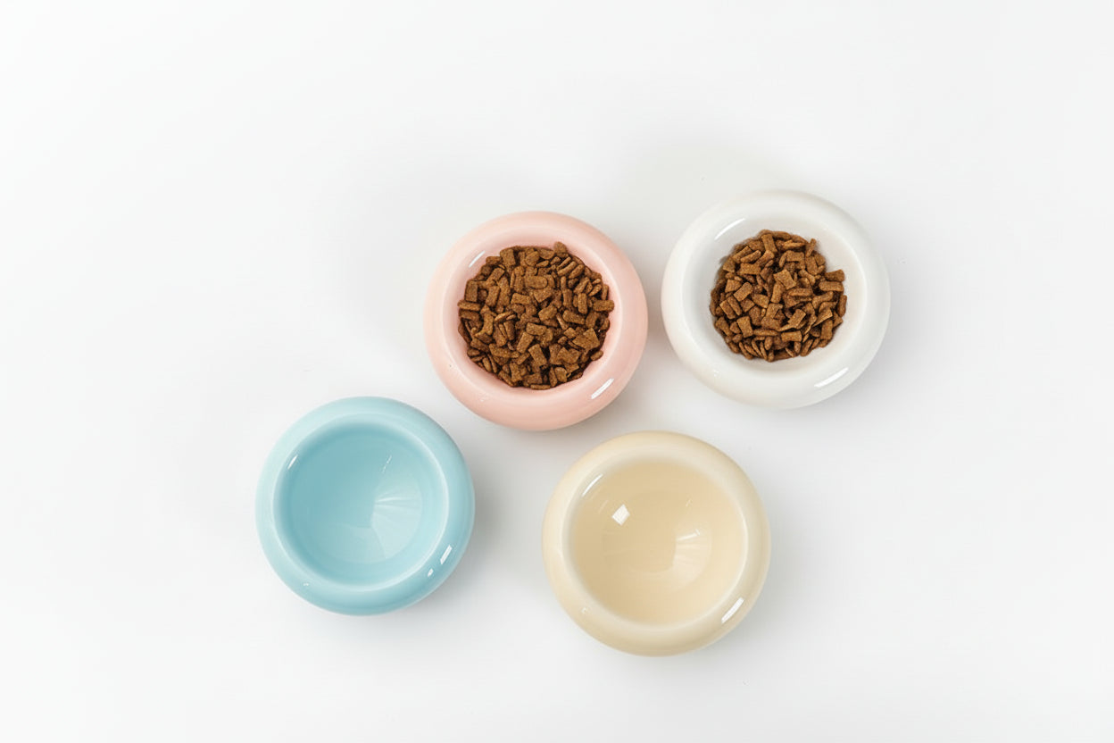 Set of ceramic bowls with pet food on a beige surface