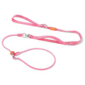 Heavy Duty Slip Leash and Collar